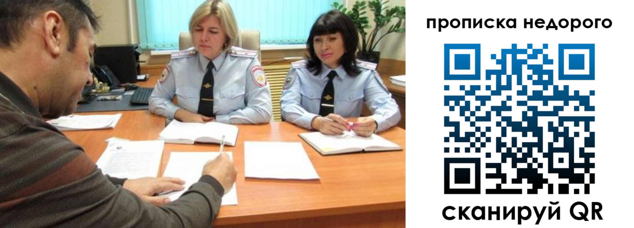 прописка поиск в Невеле